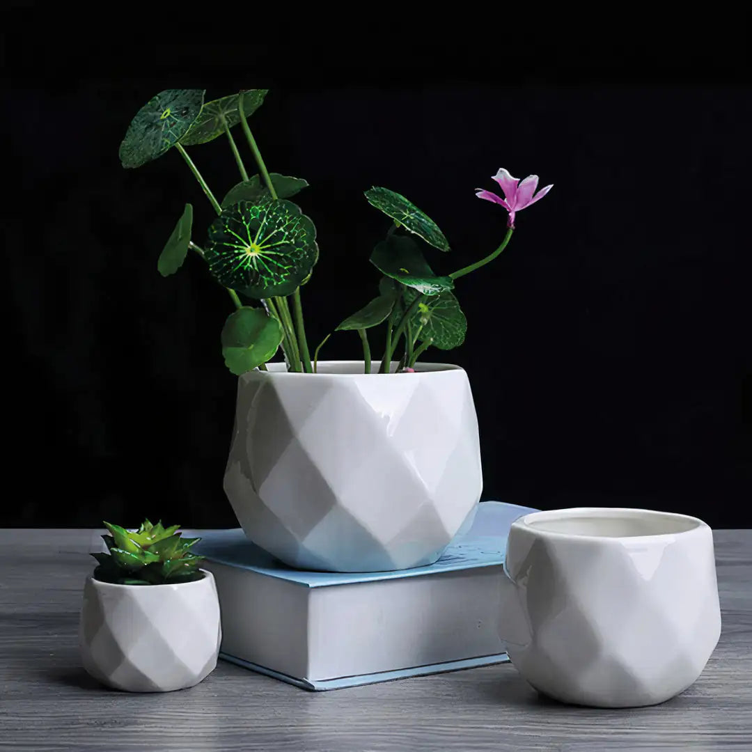 Ceramic Trio – Rounded Diamond-Shaped Planters Set