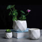 Ceramic Trio – Rounded Diamond-Shaped Planters Set