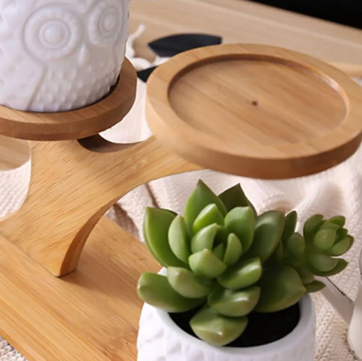 Bamboo Shelf with Removable Succulent Pots