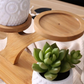 Bamboo Shelf with Removable Succulent Pots