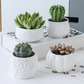 Bamboo Shelf with Removable Succulent Pots