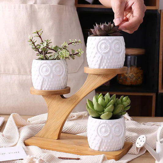 Bamboo Shelf with Removable Succulent Pots