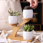 Bamboo Shelf with Removable Succulent Pots