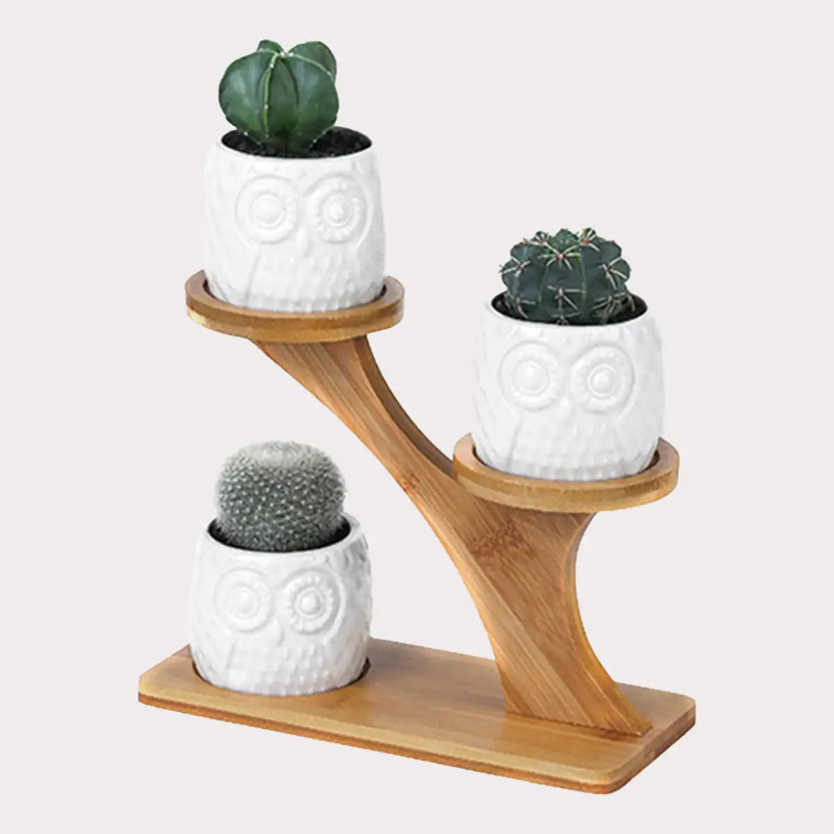 Bamboo Shelf with Removable Succulent Pots